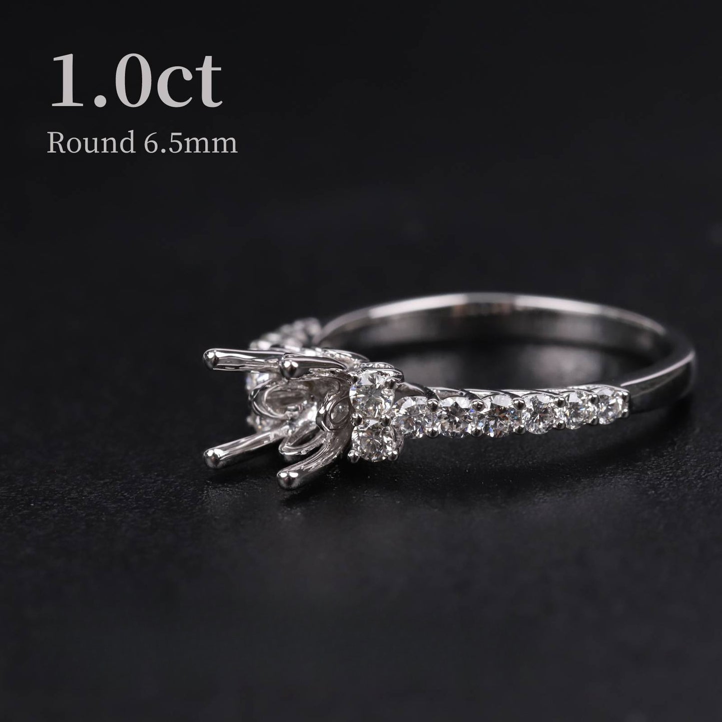 Classic Retro Elegance1Carat Micro Pave Ring Setting Full Body9/10/14/18k White Gold Diamond Ring Setting