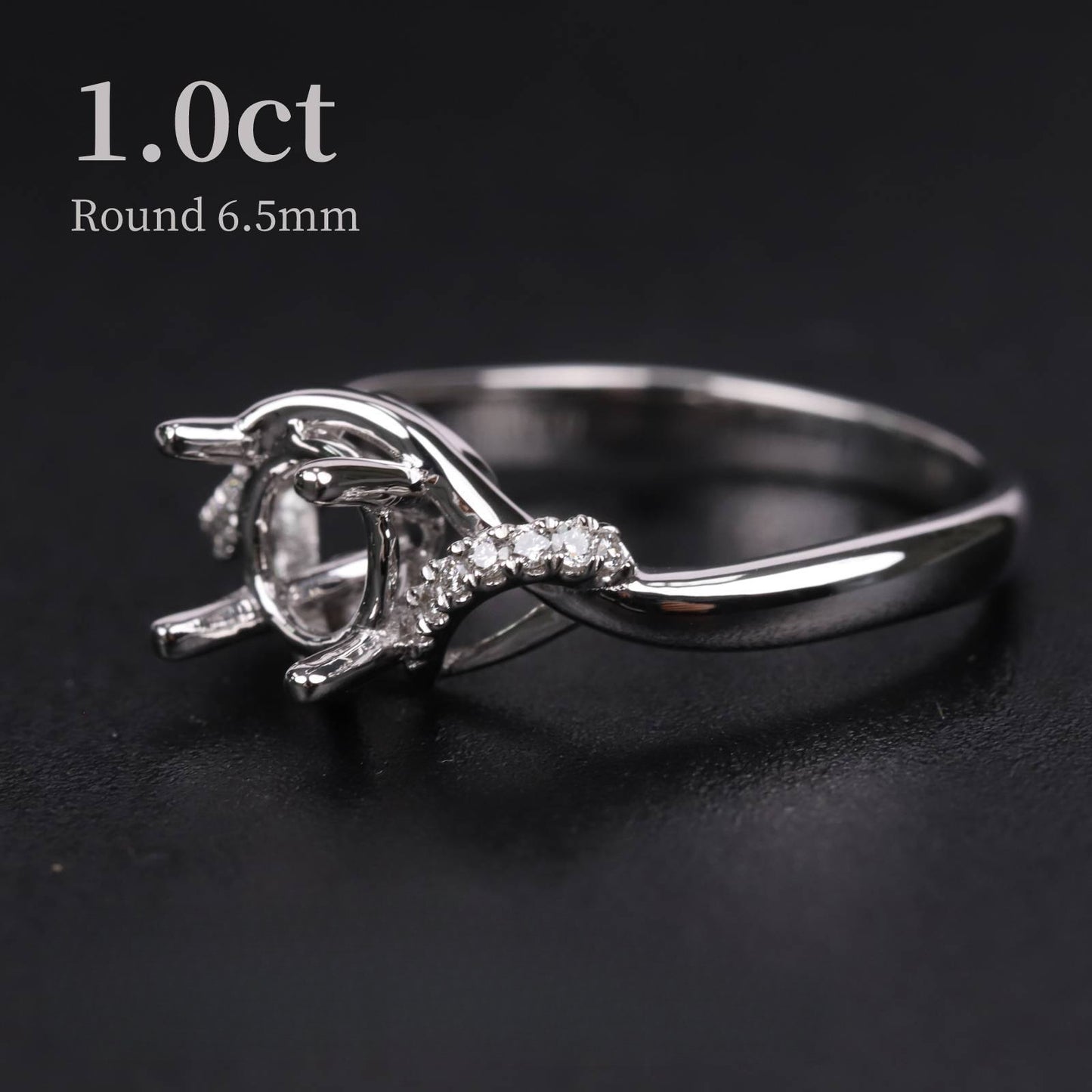 Classic Simple Exquisite Craftsmanship1Carat Round Micro Pave Ring Full Body9/10/14/18k White Gold Diamond Ring Platinum Setting